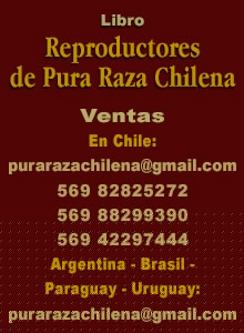 Ventas Libro Reproductores