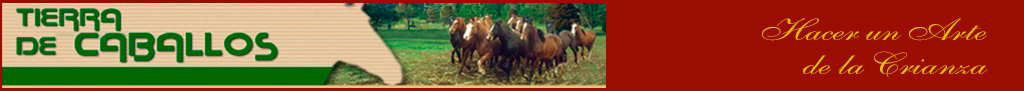 Tierra de Caballos
